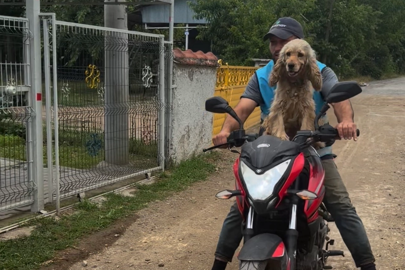 D&uuml;zce'de bir an olsun sahibi yalnız bırakmayan k&ouml;pek g&uuml;l&uuml;msetti