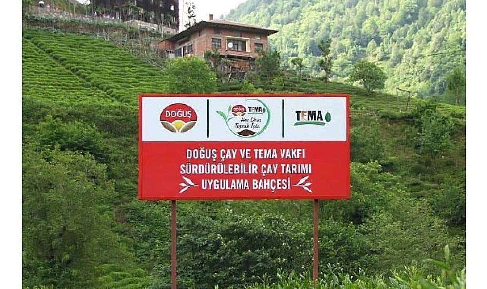 Doğuş Çay ve TEMA Vakfı'ndan sağlıklı topraklar ve sürdürülebilir çay tarımı için ortak adım